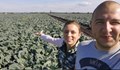 Зеленчукопроизводител в Русенско: Отказваме се от зелето