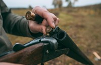 Застреляно куче по време на разходка