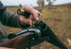 Застреляно куче по време на разходка