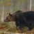 Ловец отстреля мечка в Смолянско