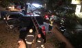 Шофьор се размина на косъм от рухнало дърво в Пловдив