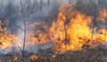 Горящи треви и храсти вдигнаха на крак огнеборците в Русенско
