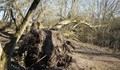 Буря с пулсиращ вятър от над 100 км/ч изкоренява дървета в Сливен
