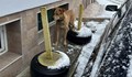 Изгубено куче обикаля улиците в района на Първо РПУ в Русе