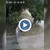 „Отговорни“ стопани изоставиха куче пред приюта в Русе