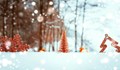 Синоптик от НИМХ: Поне за единия от празниците ще има сняг