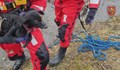 Пожарникари спасиха куче от замръзнало езеро в Чехия