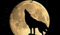 Вълча луна ще наблюдаваме на 25 януари