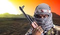 "Ал Каида" се възражда в Афганистан