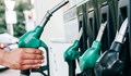 Цената на горивата плавно нараства