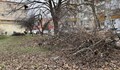Русенци сами събират падналите клони в квартал "Дружба"