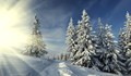 Близо 20 см достига новата снежна покривка в Пампорово
