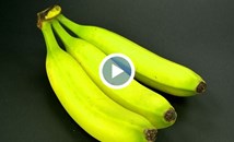Едва узрелите банани са най-полезни
