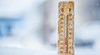 До минус 3 градуса паднаха температурите в Пампорово