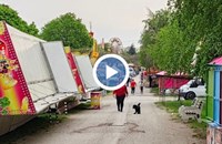 Русенската тарла ще съчетае бирен фест с атракционен парк