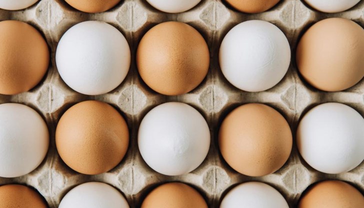 Българските яйца на пазара вероятно ще са по-малко, прогнозират птицевъди