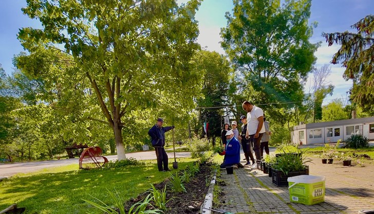 Жители на русенското село събраха средства за закупуване на цветя и дръвчета и сами ги посадиха