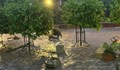 Бедствено положение в Плевен заради силна буря