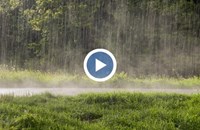 Пороен дъжд и градушка се изсипаха в Родопите