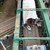 Два влака се сблъскаха в Бунос Айрес