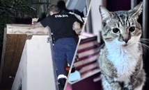 Пожарникари спасяваха палавия Кольо посреднощ Пожарникари спасяваха палавия Кольо посреднощ